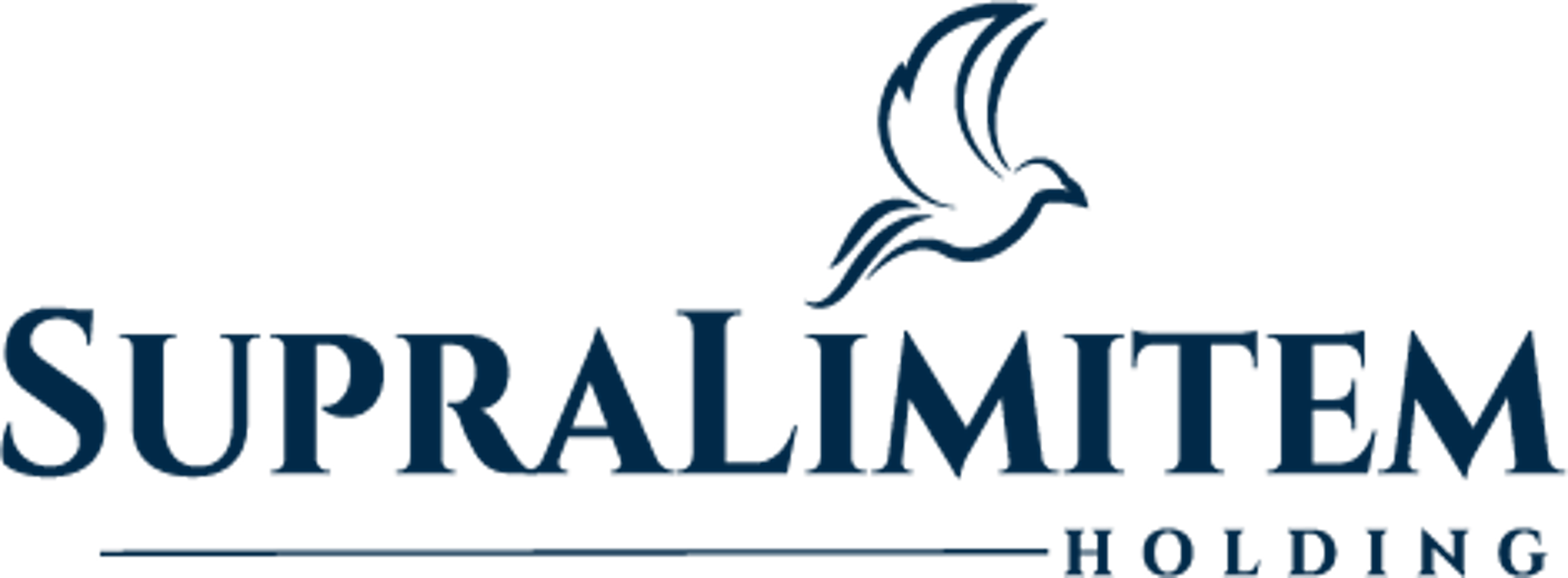 SupraLimitem Holding